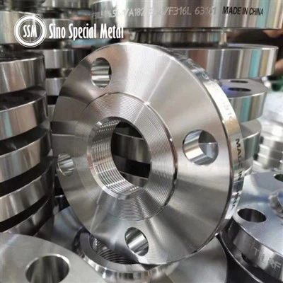 GOST 12820 12821-80 ASTM B564 Hastelloy B2 gardish