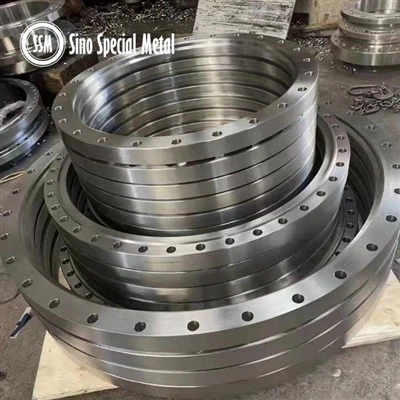 ISO 9624 ISO 7005-1 UNS N04400 WNR 2.4360 Monel 400 gardish